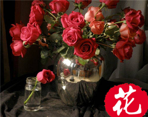 40朵玫瑰花语是什么意思：誓死不渝的爱情[图片]