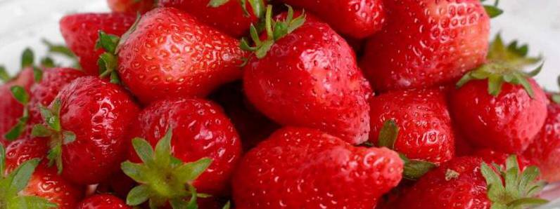 草莓有多少个品种[图片]